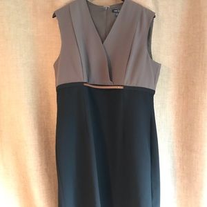 Professional dress
